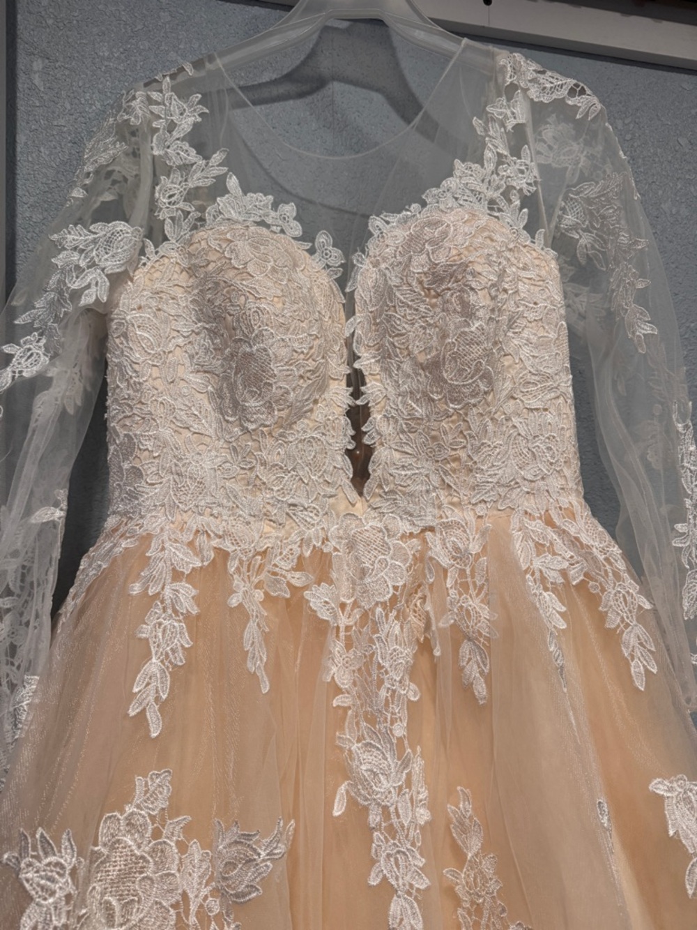 Lace Appliqué Long-Sleeve Wedding Dress in Blush